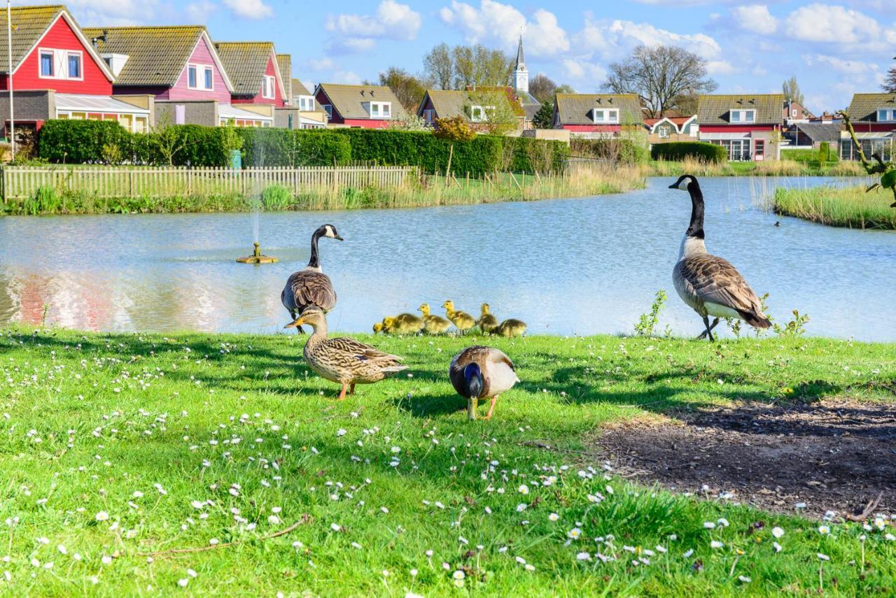 Frejus 116 - Kustpark Village Scaldia Hoofdplaat Luaran gambar